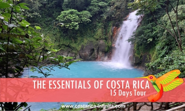 Essential Costa Rica Costa Rica Infinita Travel Agency In Costa Rica