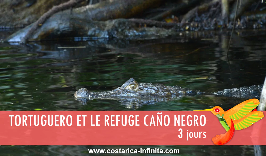 tortuguero-et-cano-negro