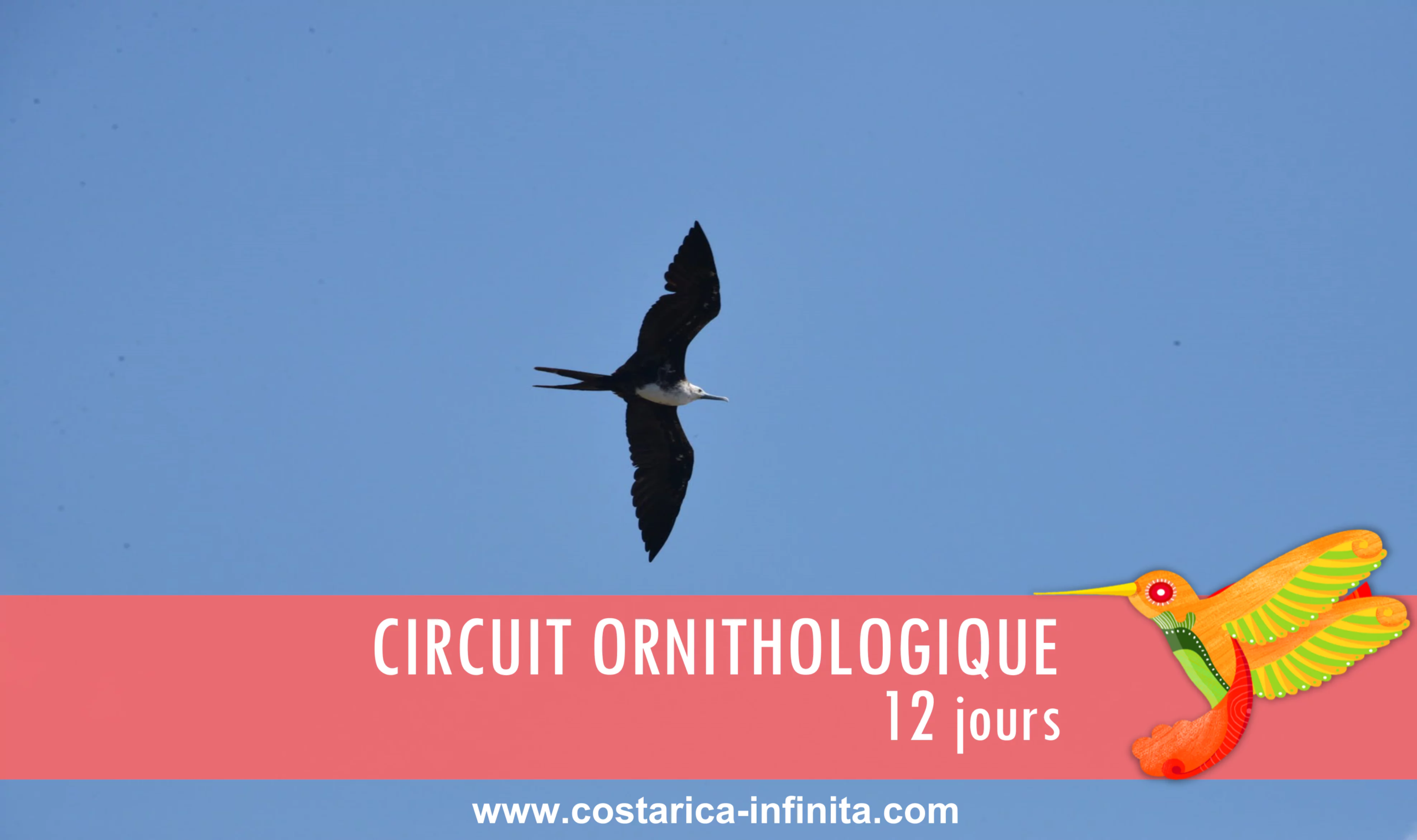 vignette-circuit-ornithologique