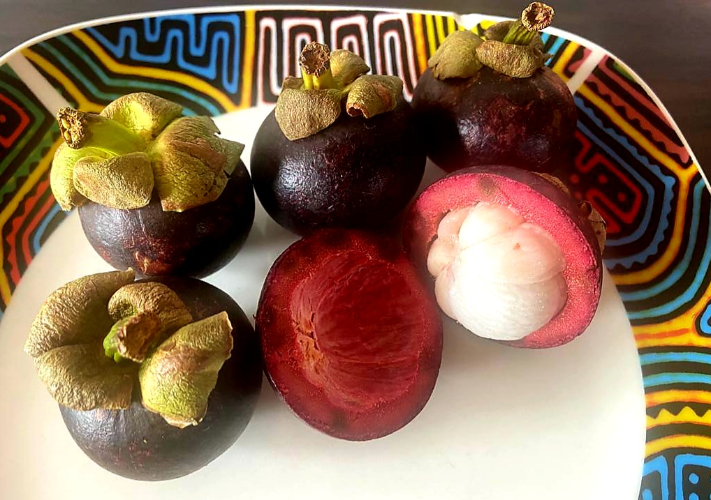 Costa Rican tropical fruits Costa Rica Infinita, travel agency in