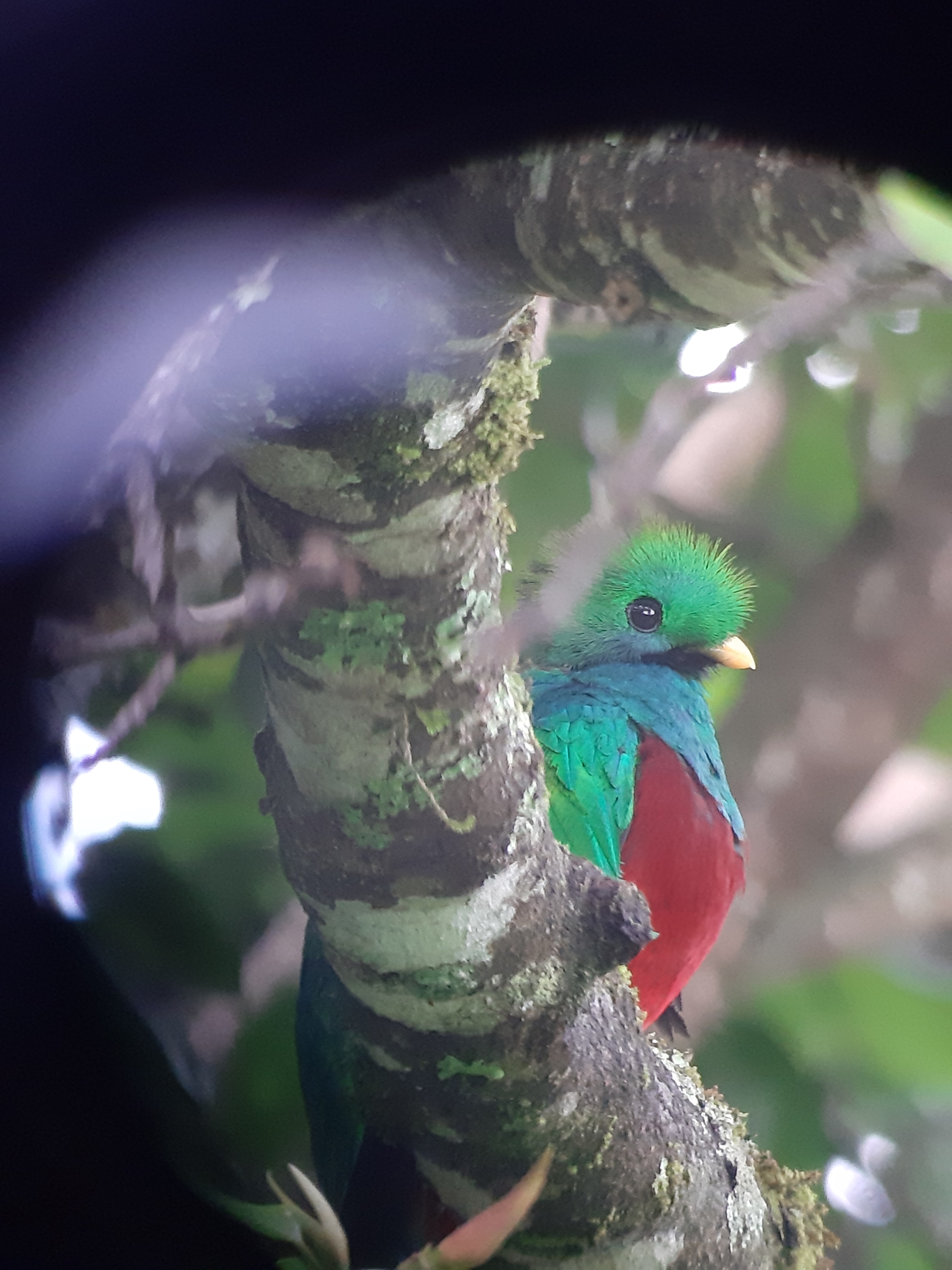 Les plus beaux parcs nationaux du Costa Rica Costa Rica Infinita